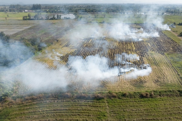 Agricultures pollution